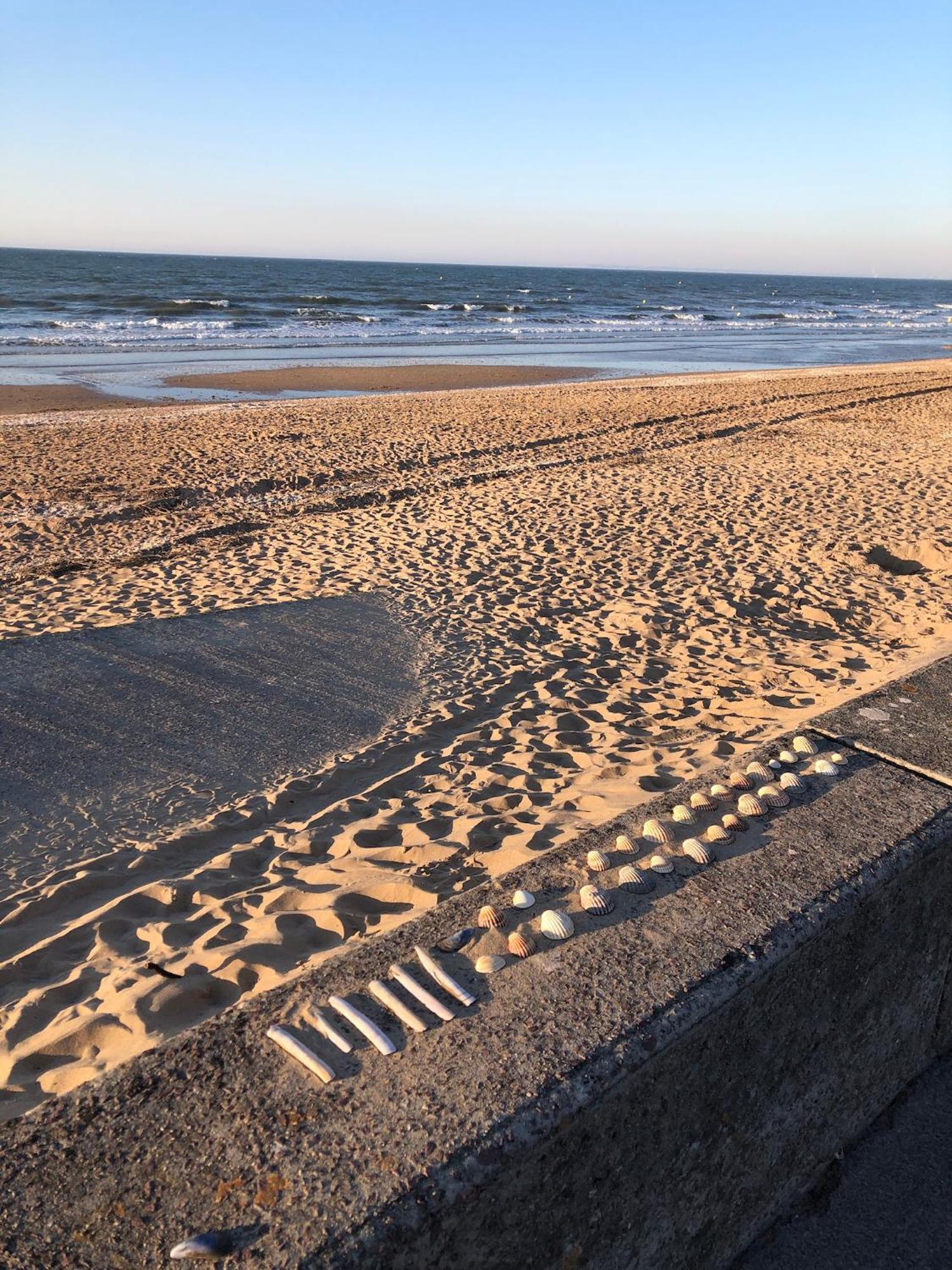 Le Petit Navire - Acces Direct Plage カブール エクステリア 写真